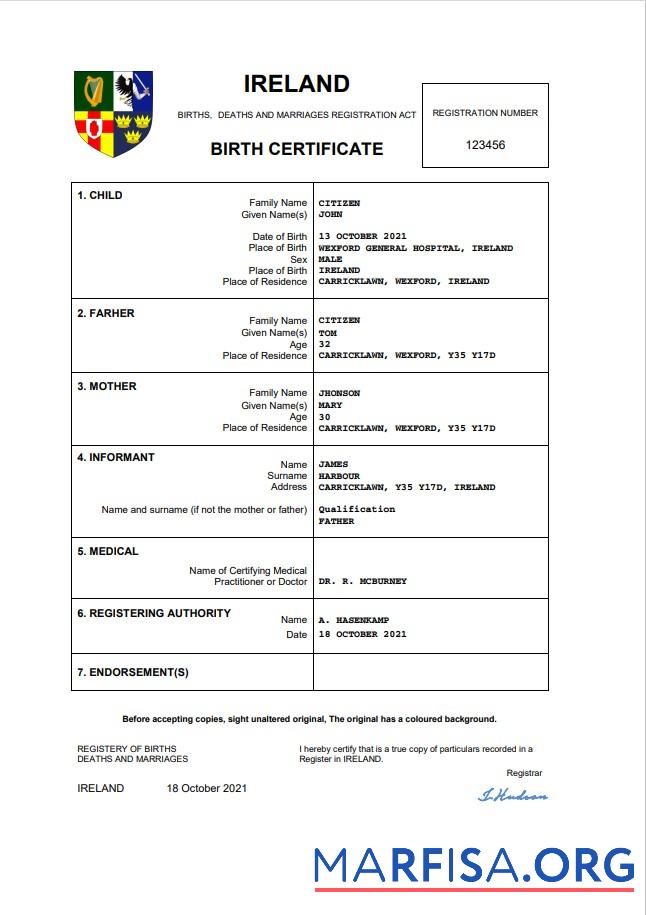 Blank Ireland birth certificate Word and PDF template